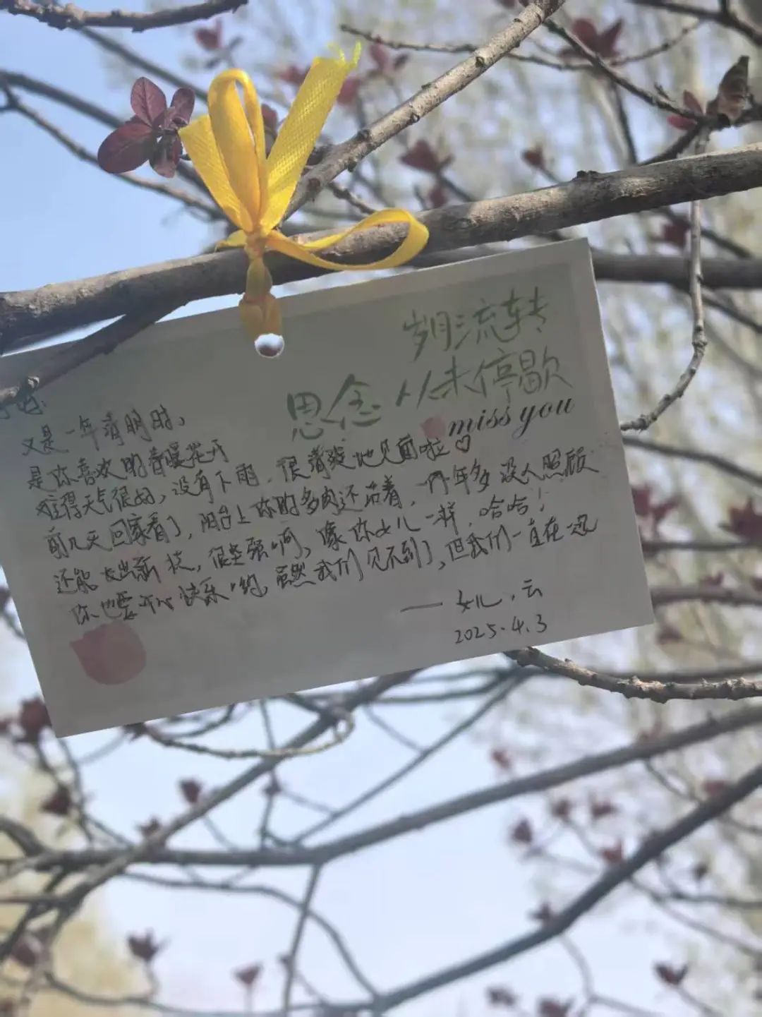 微信图片_20250605155031.jpg